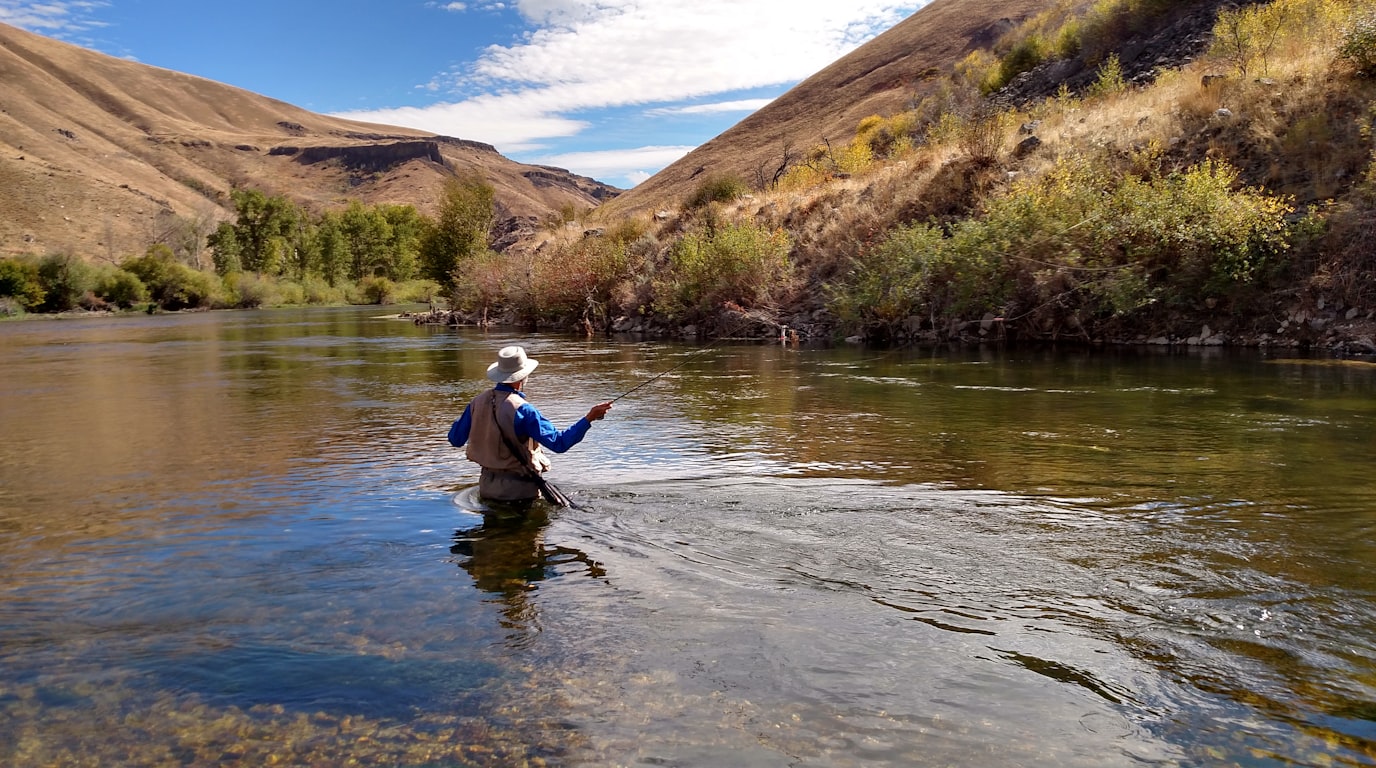 Summer Dam Fishing Tactics: Beat the Heat, Catch More Fish